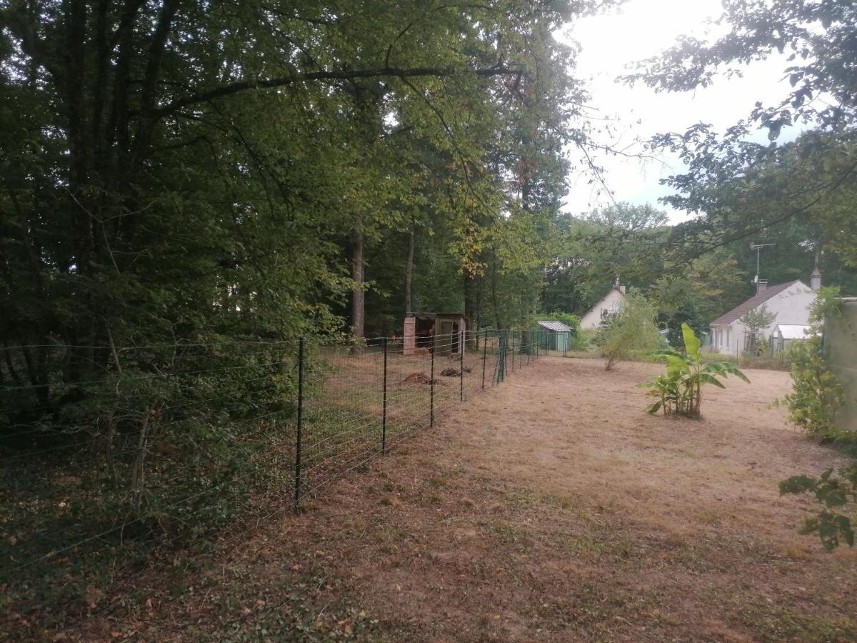 Maison De Campagne Au Calme Chuelles 外观 照片